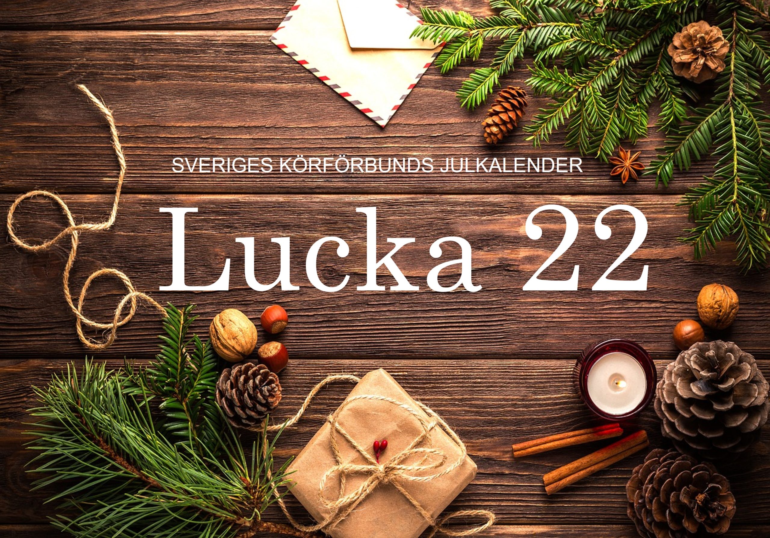 Lucka 22 2025 – Kansliet